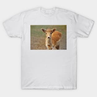 Young And Sweet T-Shirt